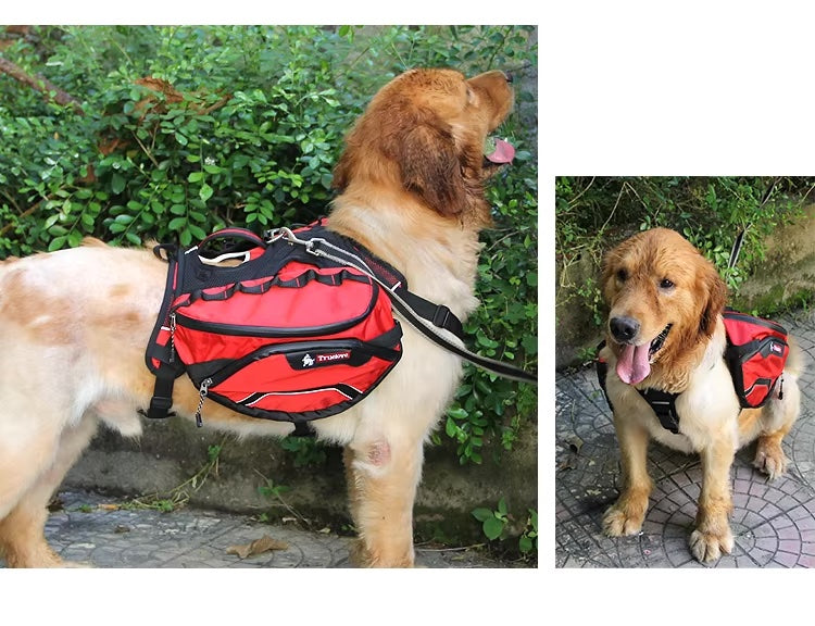 2-in-1 Backpack Carrier Dog Harness – Detachable Harness & Waterproof Bag for Outdoor Use