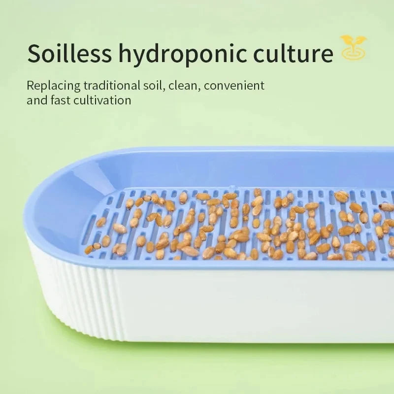 Hydroponic Cat Grass Kit – Soilless Planting Pot for Easy Growth