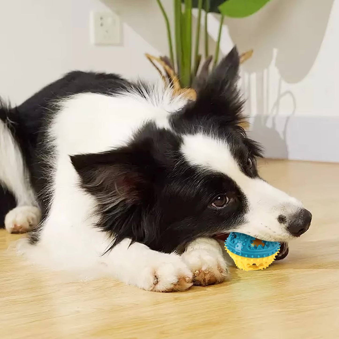 Interactive Dog Chew Toy – Treat Dispensing Ball for Teeth Cleaning
