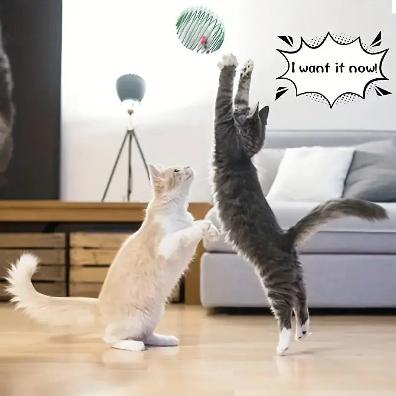Interactive Rolling Cat Ball