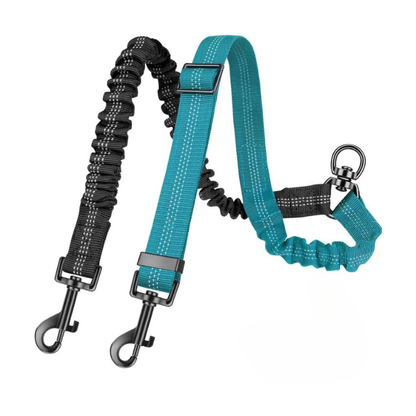 Adjustable 16ft Dual Dog Leash with Shock-Absorbing Bungee – Double Leash Attachment for Small to Large Dogs, Training & Walking Control