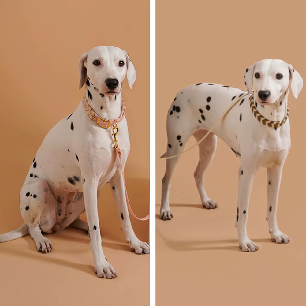 Handmade High End Dog Collar