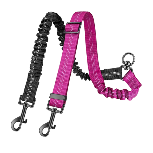 Adjustable 16ft Dual Dog Leash with Shock-Absorbing Bungee – Double Leash Attachment for Small to Large Dogs, Training & Walking Control
