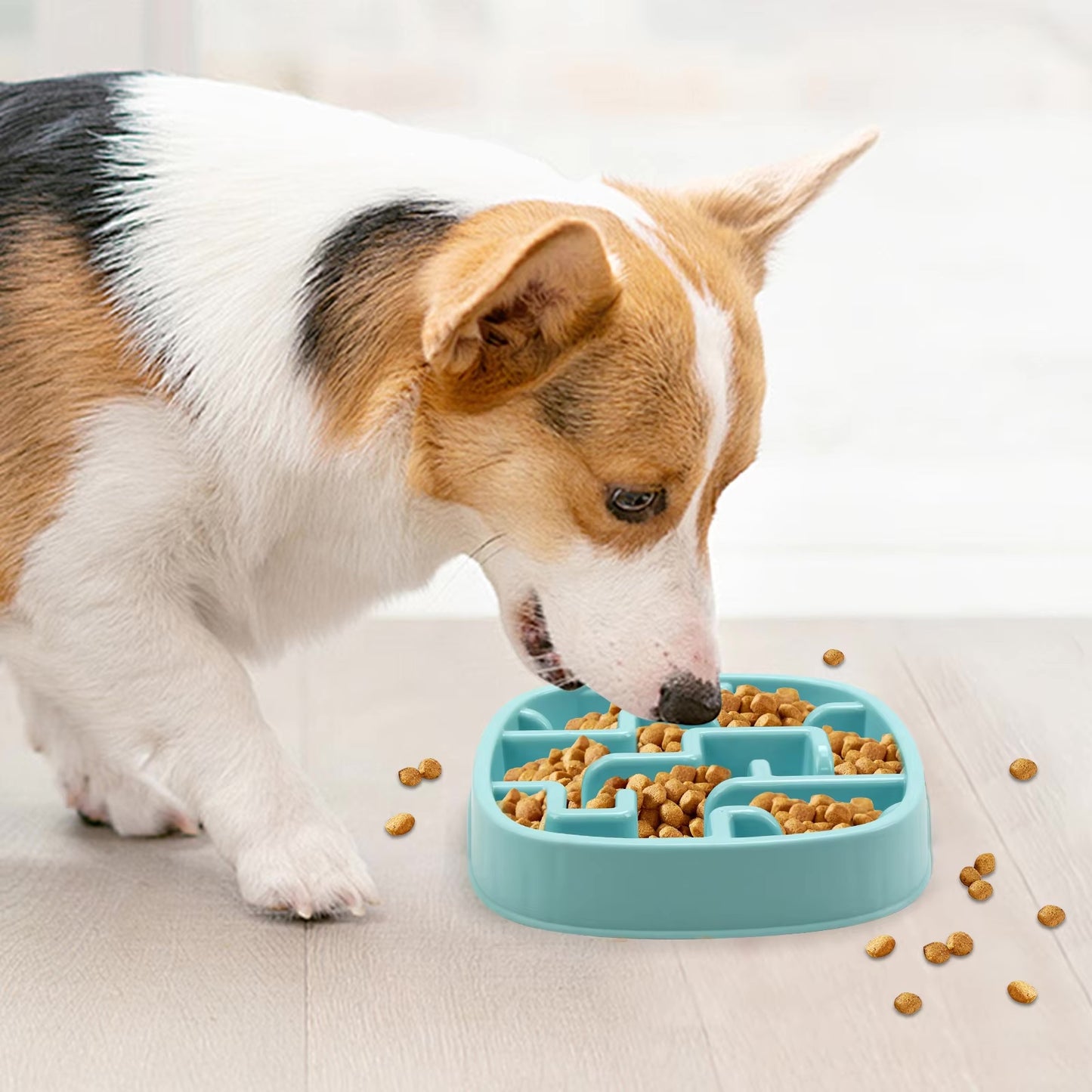 Pet Slow Feeder Bowl – Fun, Non-Slip Dish for Dogs & Puppies