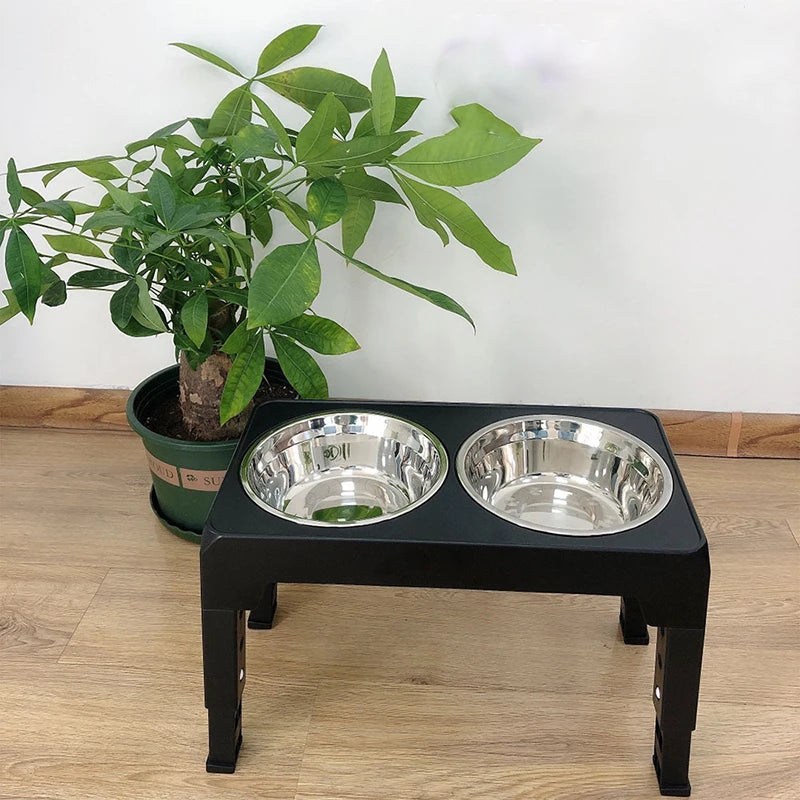 Raised Dog Feeder Set