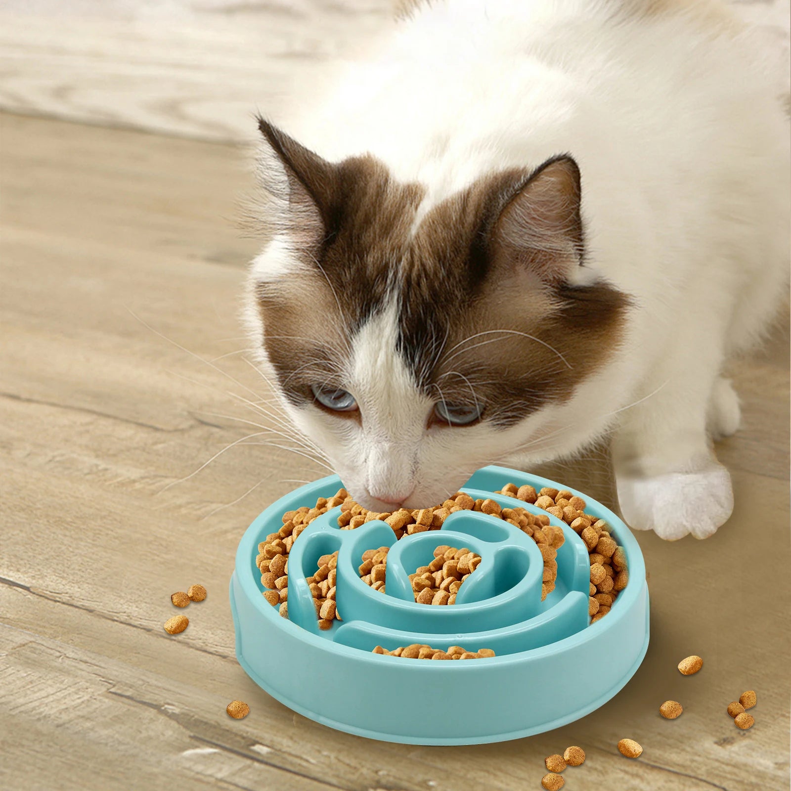Pet Slow Feeder Bowl – Fun, Non-Slip Dish for Dogs & Puppies