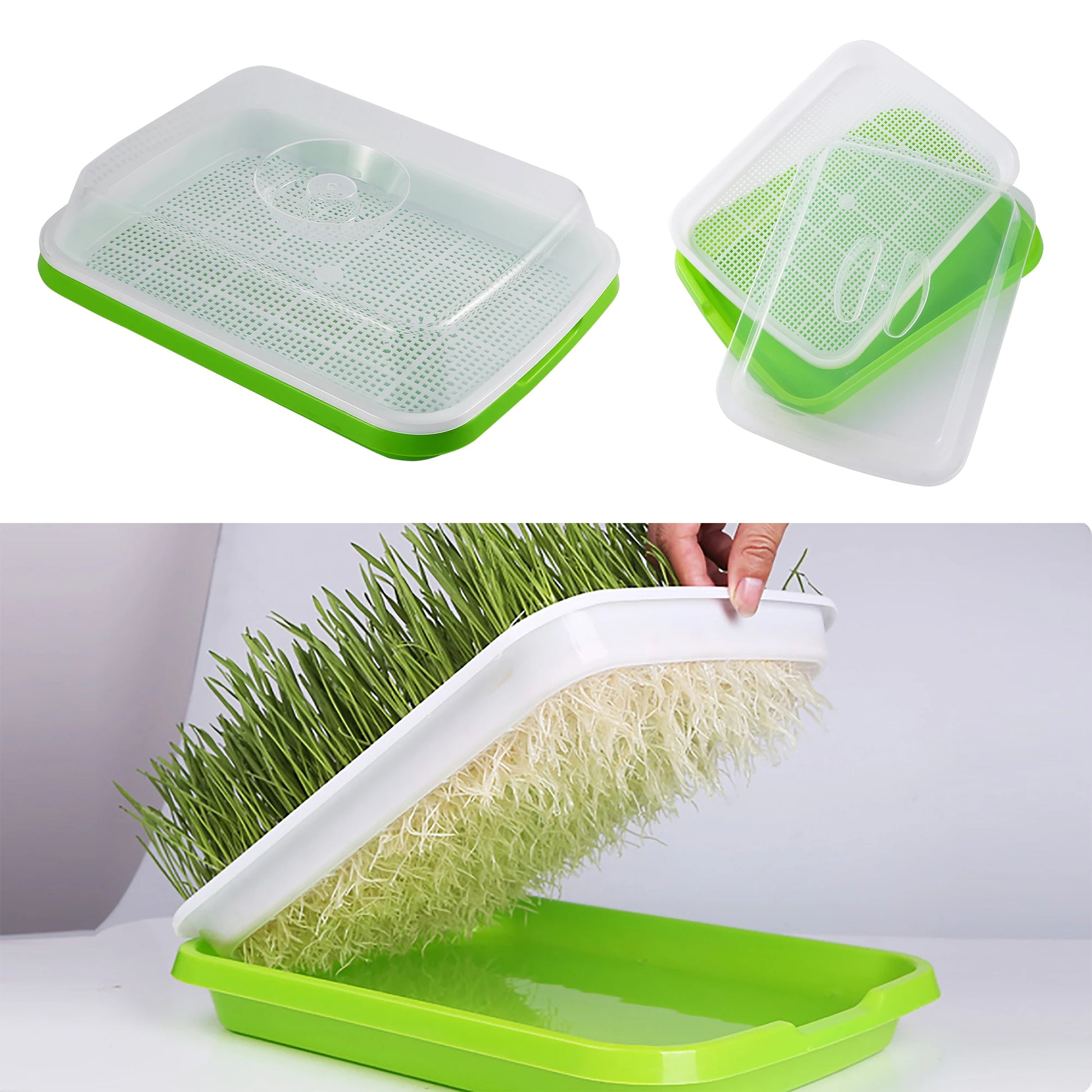 Soilless Seed Cultivation Germination Tray (No Seeds Included)