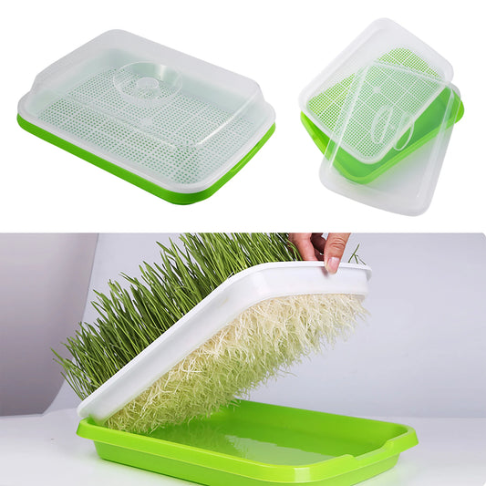 Soilless Seed Cultivation Germination Tray (No Seeds Included)