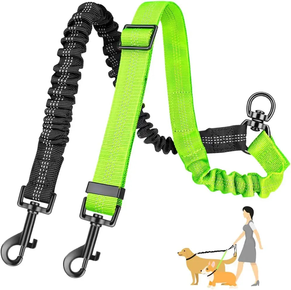 Adjustable 16ft Dual Dog Leash with Shock-Absorbing Bungee – Double Leash Attachment for Small to Large Dogs, Training & Walking Control