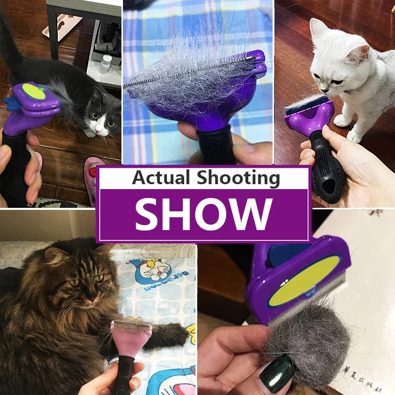 Deshedding Brush