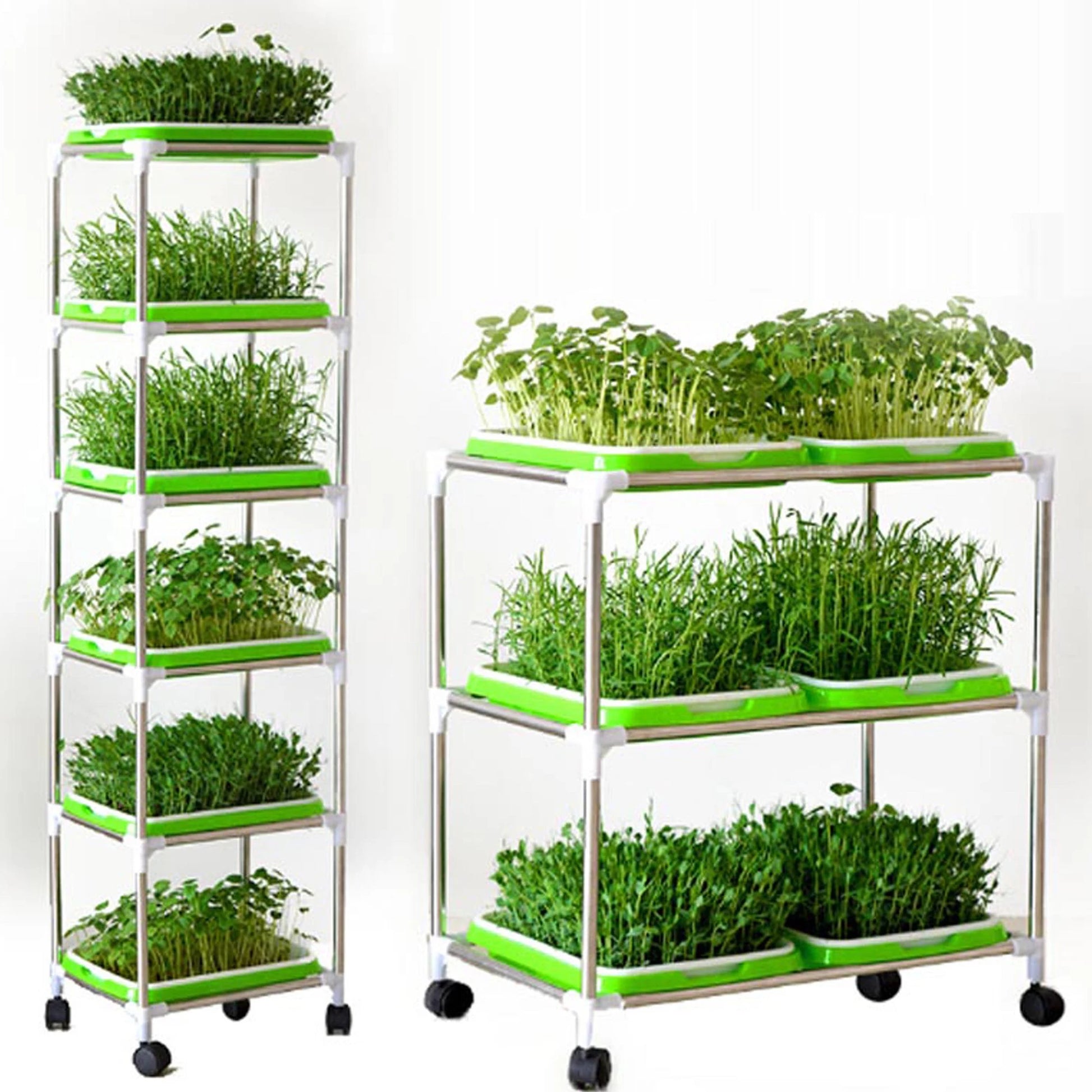Soilless Seed Cultivation Germination Tray (No Seeds Included)