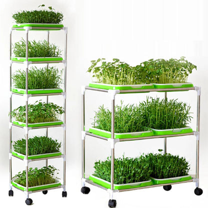 Soilless Seed Cultivation Germination Tray (No Seeds Included)