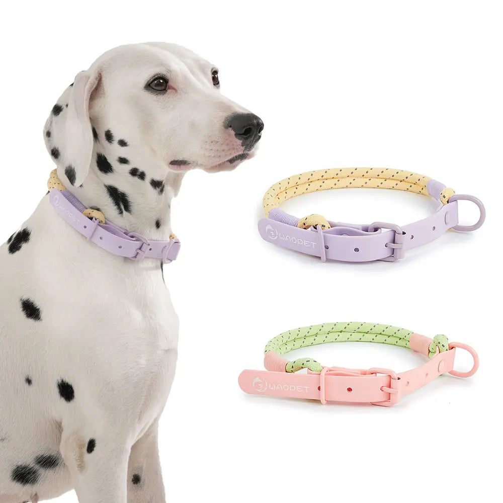 Candy Style Handmade Nylon Webbing Dog Collar 