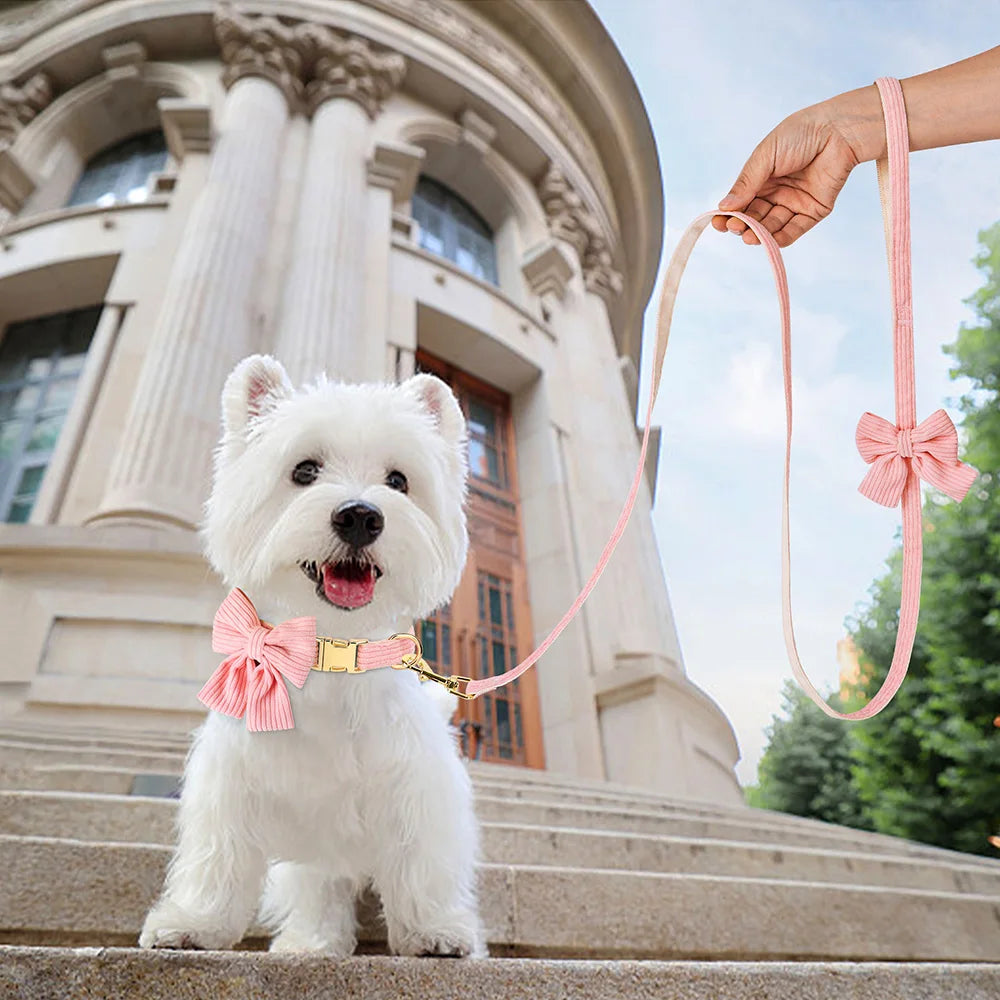 Bowtie Dog Collar Leash Set for Small Dogs