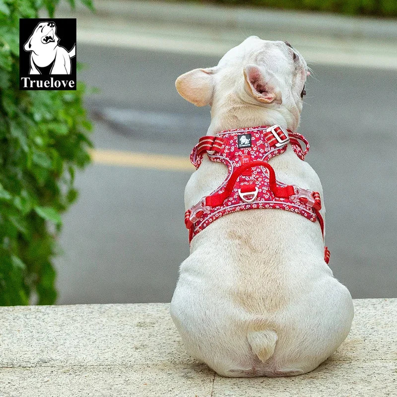 No-Pull Reflective Pet Harness