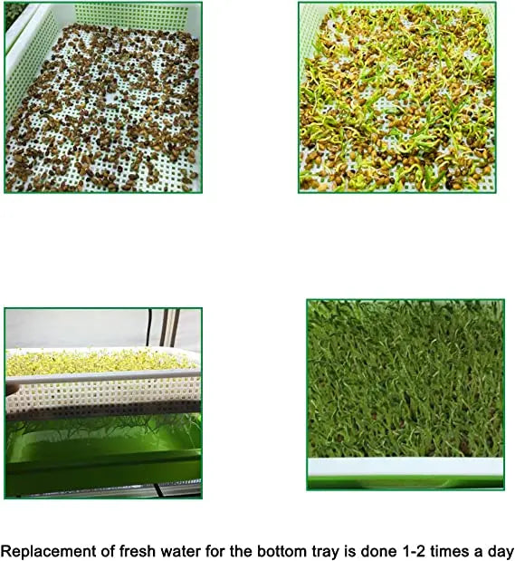 Soilless Seed Cultivation Germination Tray (No Seeds Included)