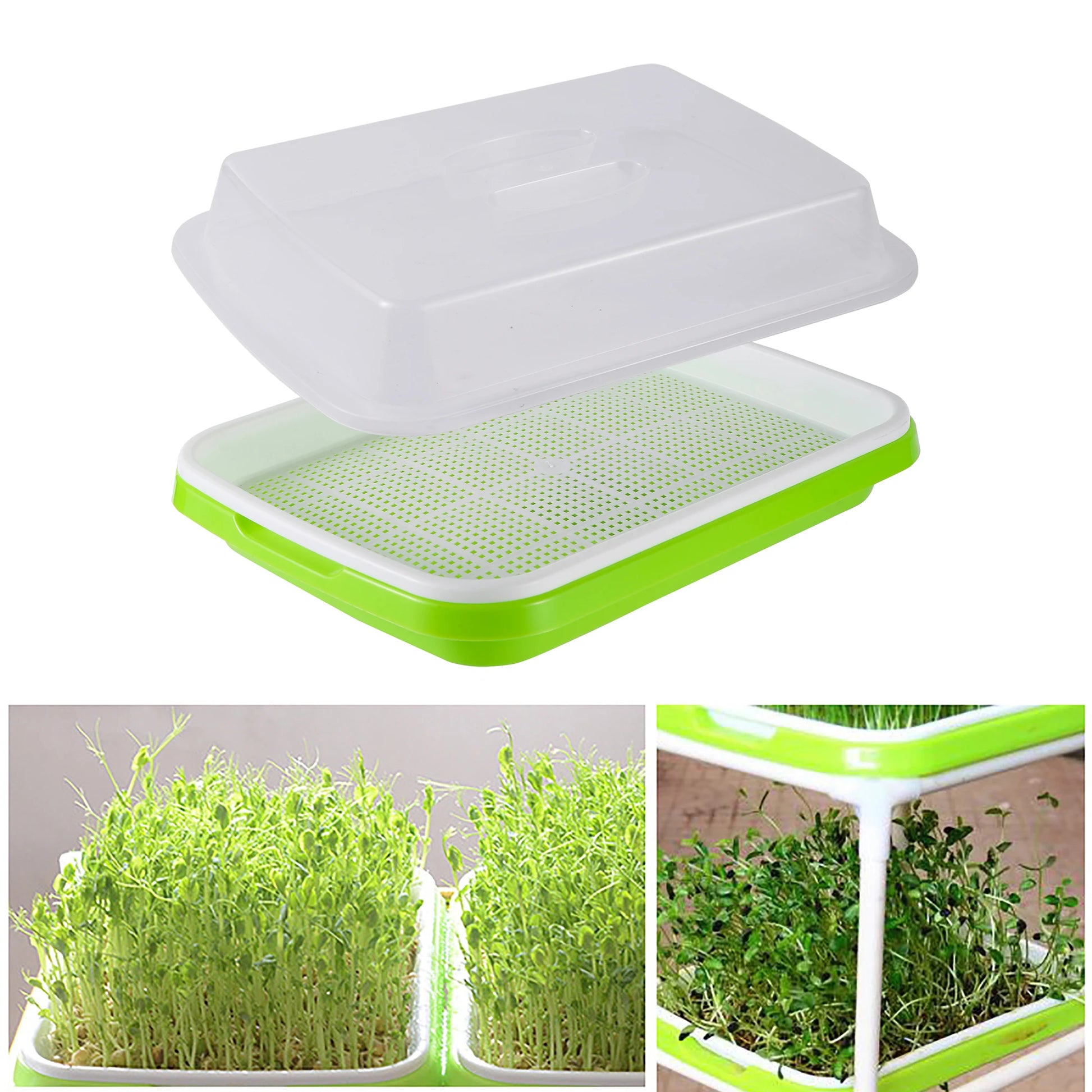 Soilless Seed Cultivation Germination Tray (No Seeds Included)