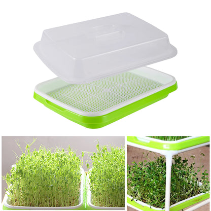 Soilless Seed Cultivation Germination Tray (No Seeds Included)
