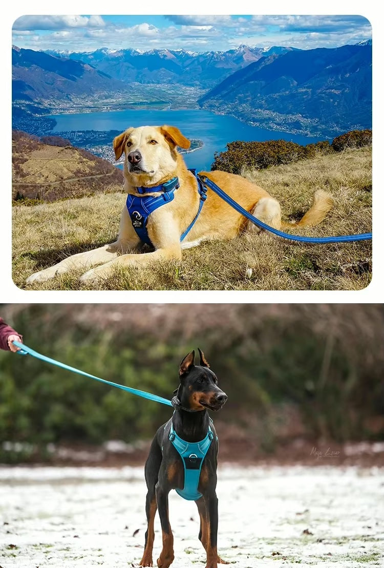 All-In-One Reflective Dog HarnessPet Harness+Leash Set