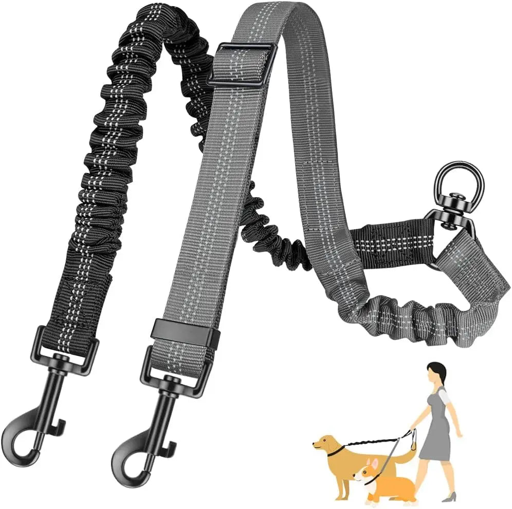 Adjustable 16ft Dual Dog Leash with Shock-Absorbing Bungee – Double Leash Attachment for Small to Large Dogs, Training & Walking Control