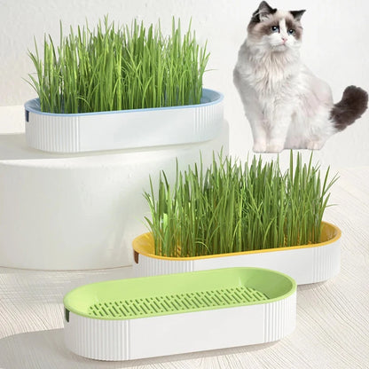 Hydroponic Cat Grass Kit – Soilless Planting Pot for Easy Growth