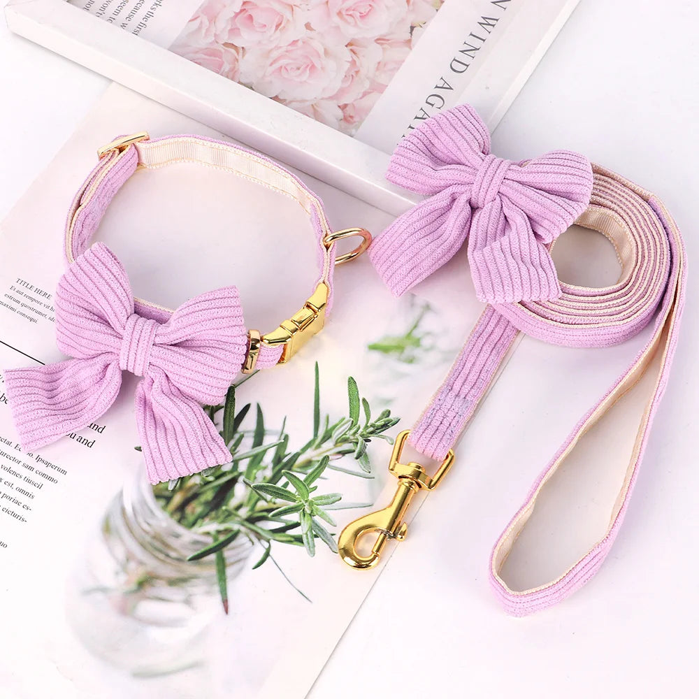 Bowtie Dog Collar Leash Set for Small Dogs
