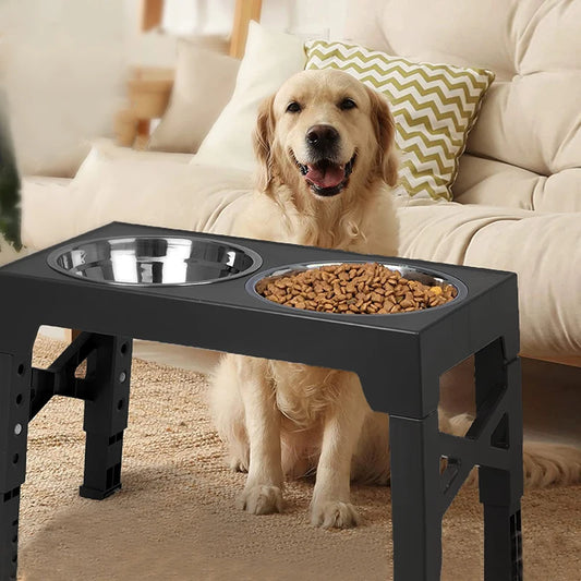 Raised Dog Feeder Set