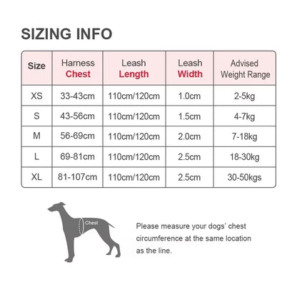 All-In-One Reflective Dog HarnessPet Harness+Leash Set 