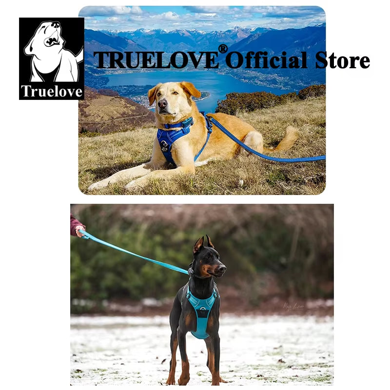 All-In-One Reflective Dog HarnessPet Harness+Leash Set 